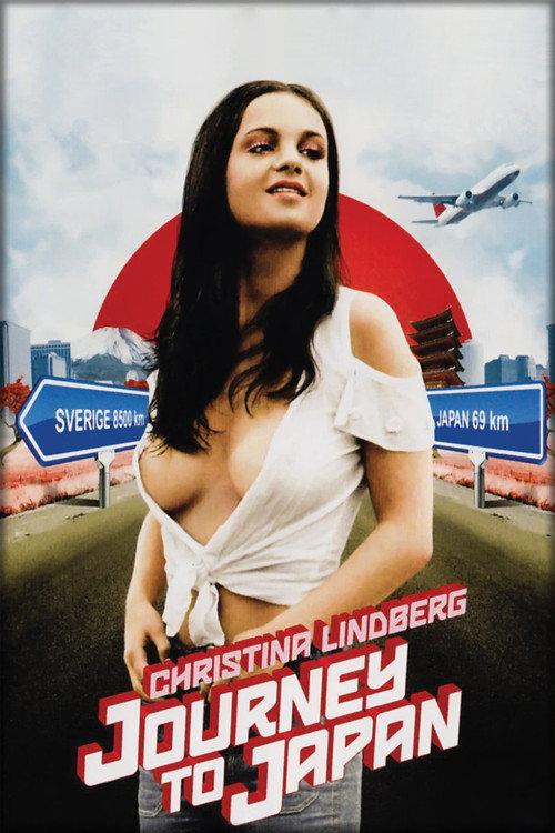The Kyoto Connection 1973 official movie poster