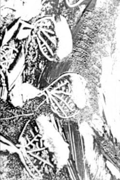 Atlantyda 1972 official movie poster