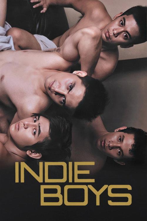 Indie Boys 2010 official movie poster