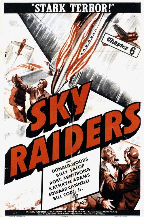 Sky Raiders 1941 official movie poster