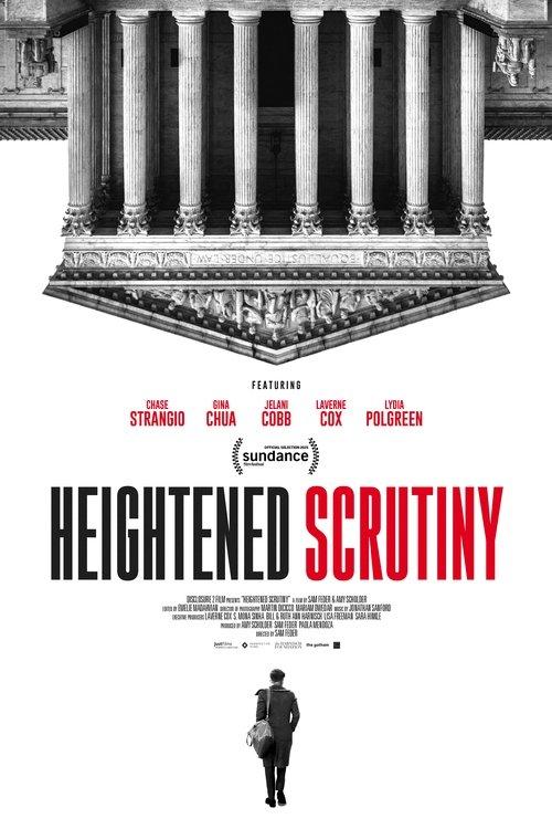 Heightened Scrutiny 2025 official movie poster