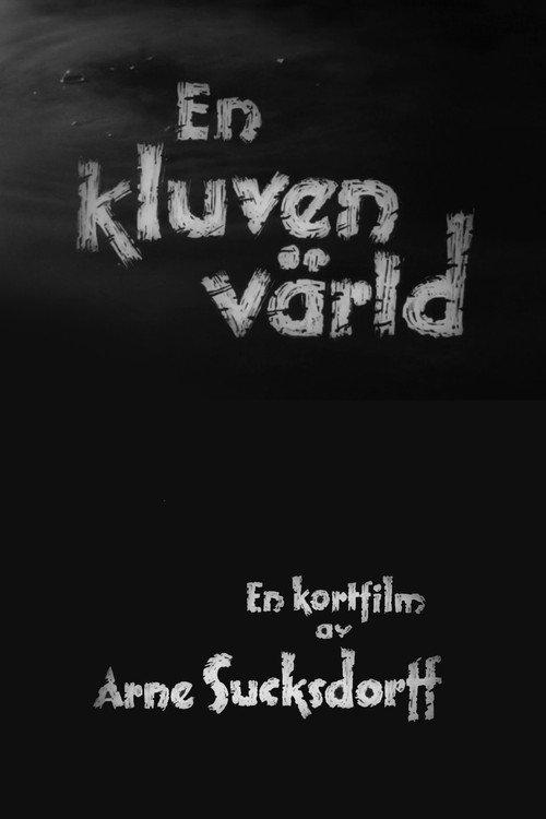 A Divided World 1948 official movie poster