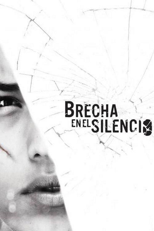 Breach in the Silence 2013 official movie poster