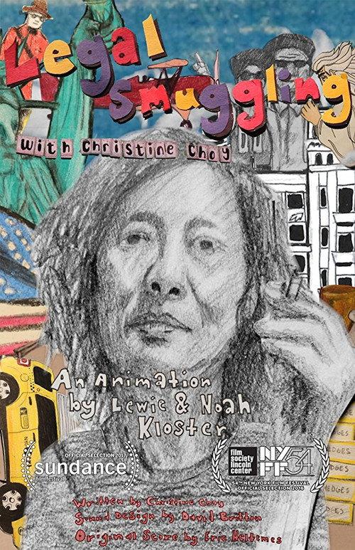 Legal Smuggling with Christine Choy 2016 official movie poster