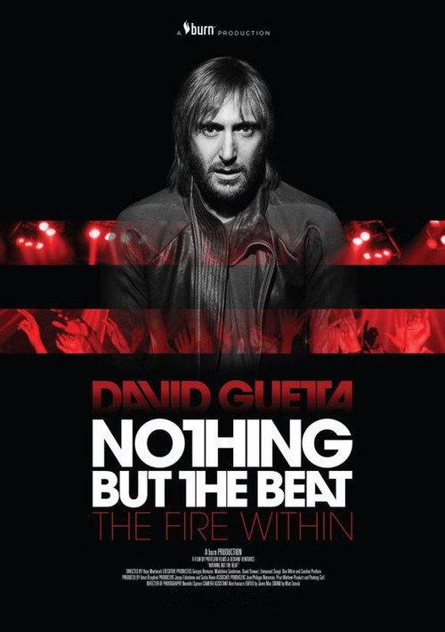 Nothing But The Beat 2011 official movie poster