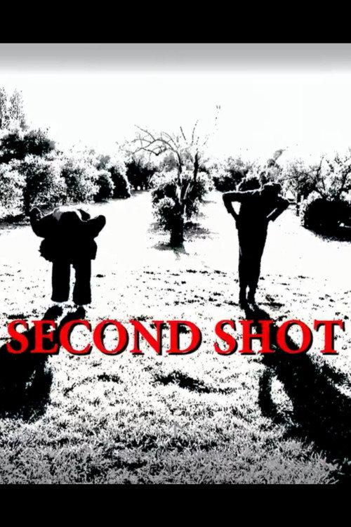 Second Shot 2017 official movie poster