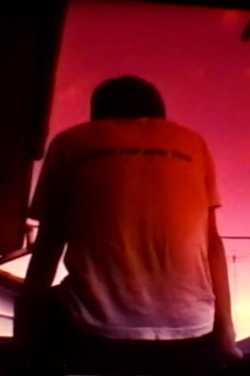 Goddess of 8mm film 1994 official movie poster