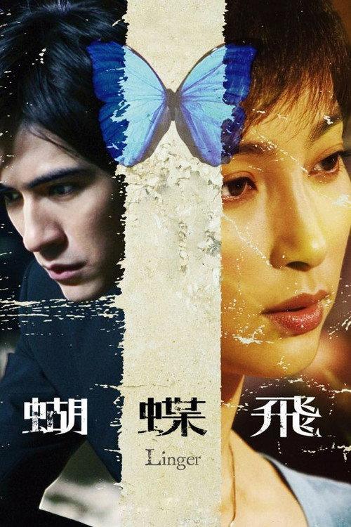 Linger 2008 official movie poster