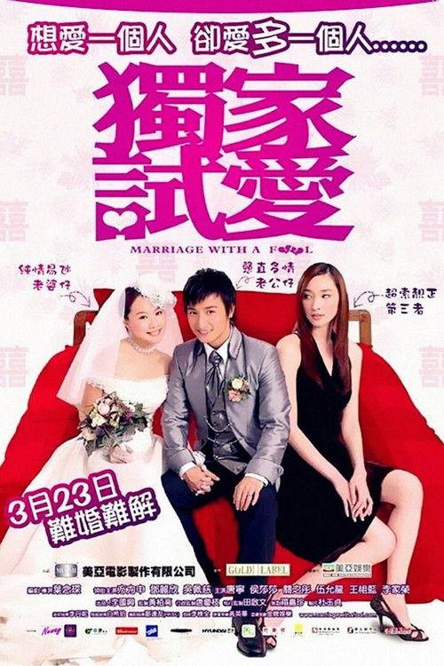 Marriage with a Fool 2006 official movie poster