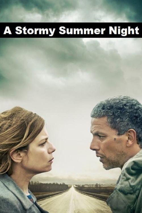 A Stormy Summer Night 2015 official movie poster