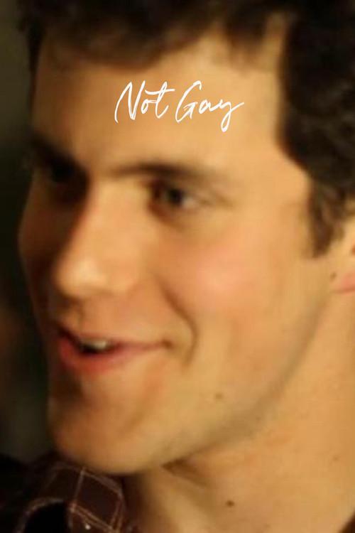 Not Gay 2013 official movie poster