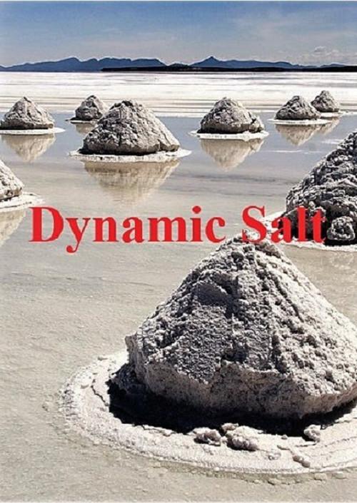 Dynamic Salt 2015 official movie poster