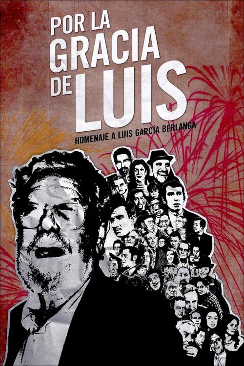 Por la gracia de Luis 2009 official movie poster