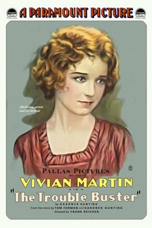 The Trouble Buster 1917 official movie poster