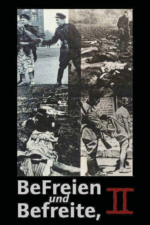 Liberators Take Liberties, part 2 1992 official movie poster