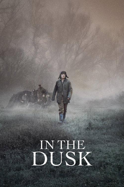 In the Dusk 2019 official movie poster