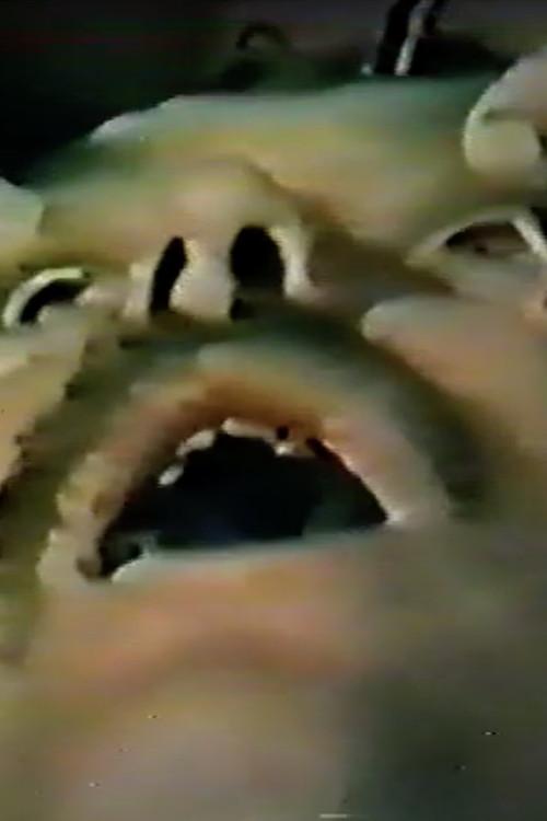 The Fear Vendors 1980 official movie poster
