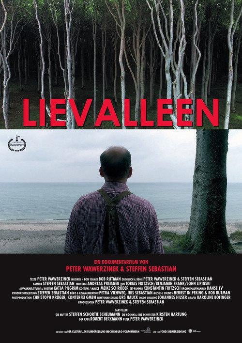 Lievalleen 2001 official movie poster