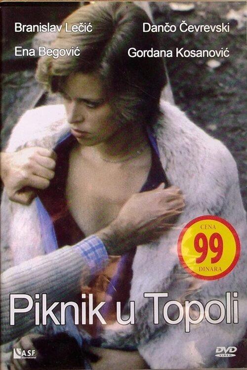 Picnic in Topola 1981 official movie poster