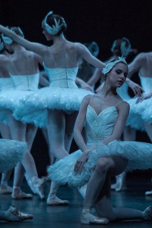 Swan Lake - The Australian Ballet official movie poster