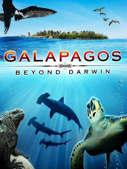 Galapagos: Beyond Darwin 1996 official movie poster