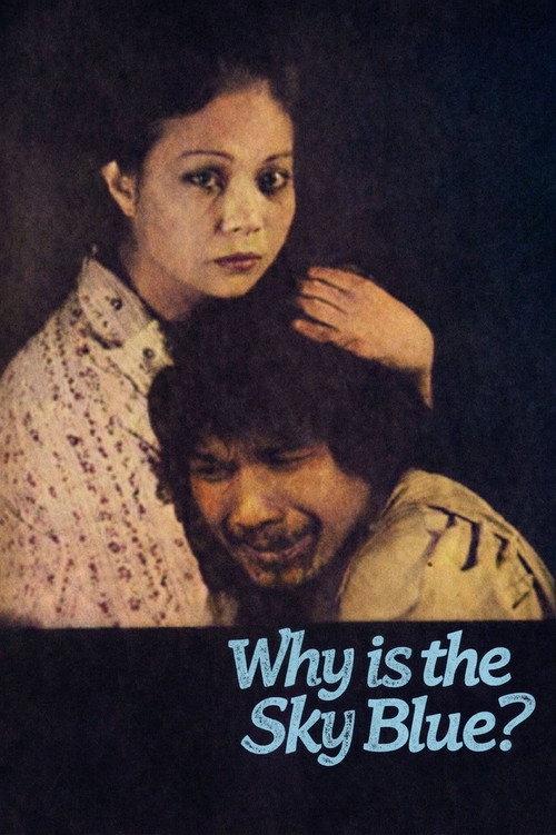 Why Is the Sky Blue? 1981 official movie poster