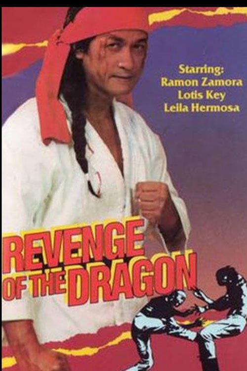 Revenge of the Dragon 1977 official movie poster