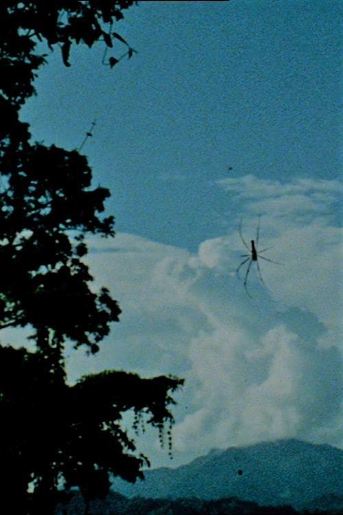 Ether 2003 official movie poster