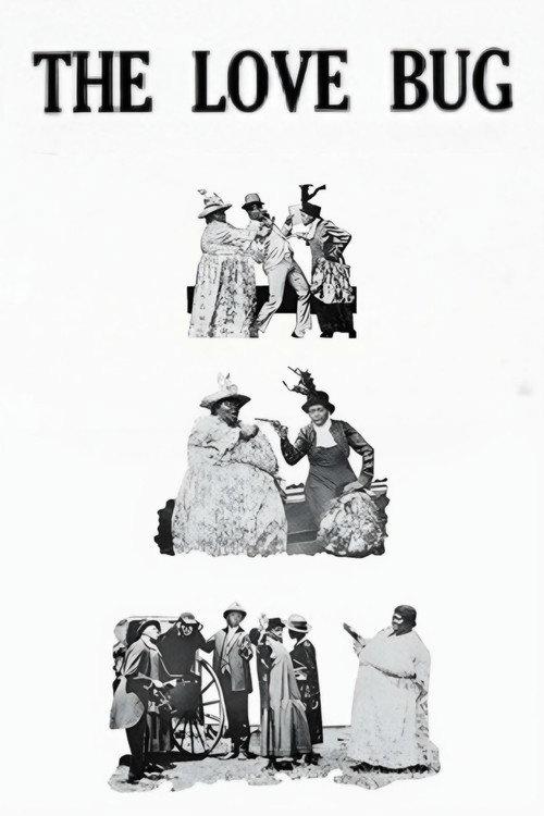 The Love Bug 1919 official movie poster