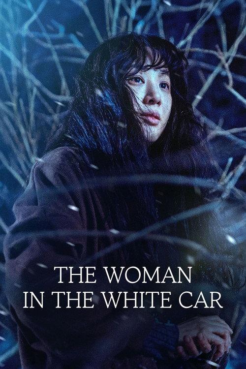 The Woman in the White Car 2025 official movie poster