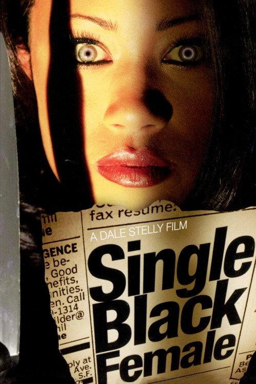 Single Black Female 2009 official movie poster