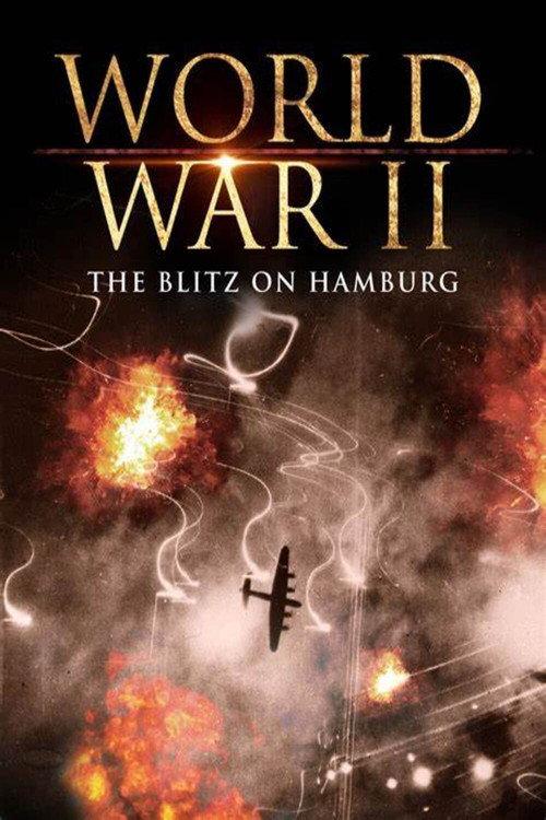World War II: The Blitz on Hamburg 2009 official movie poster