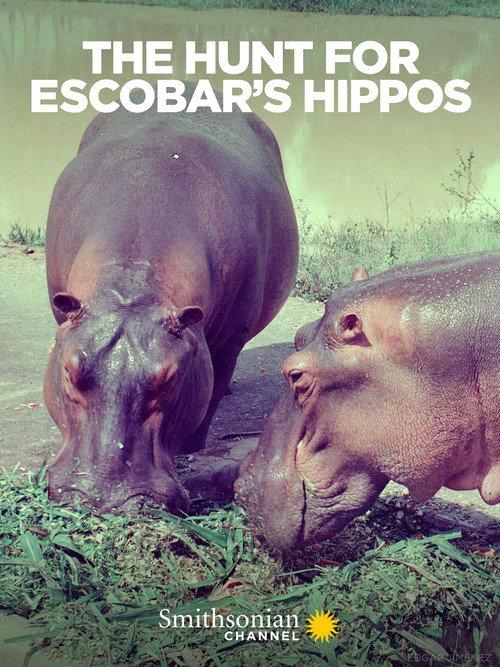 The Hunt for Escobar's Hippos 2020 official movie poster