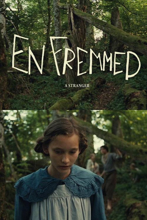 A Stranger 2014 official movie poster