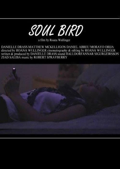 Soul Bird 2014 official movie poster