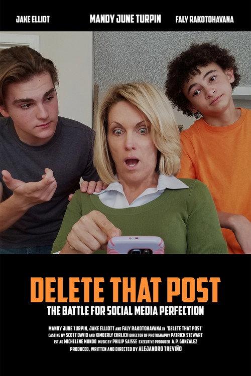 Delete that Post 2016 official movie poster