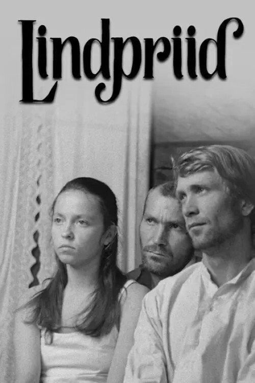 Outlaws 1971 official movie poster