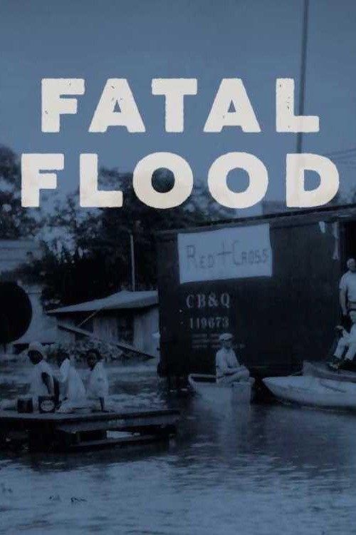 Fatal Flood 2001 official movie poster