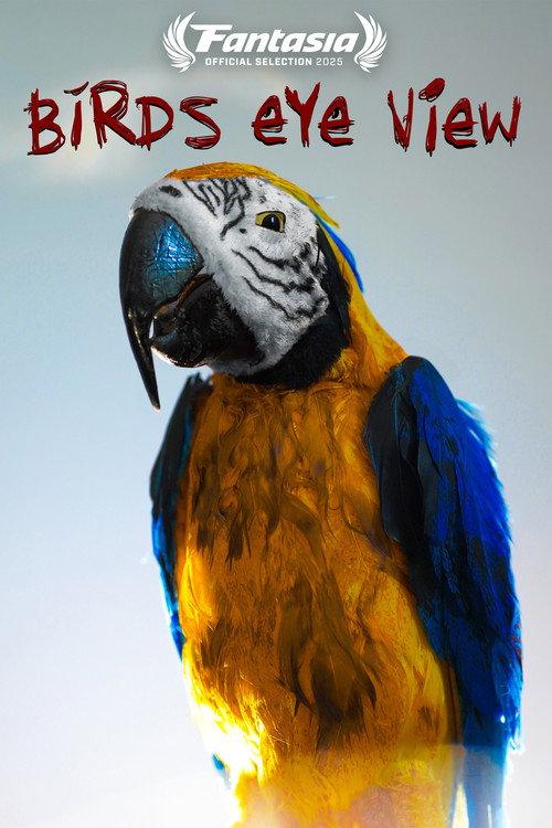 Bird's Eye View 2025 official movie poster