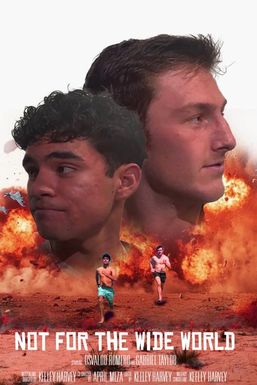 Not for the Wide World 2026 official movie poster