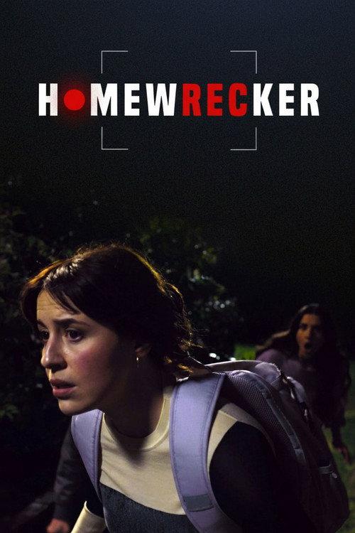 Homewrecker 2025 official movie poster