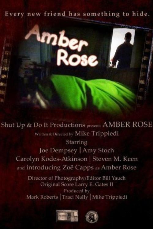 Amber Rose 2010 official movie poster