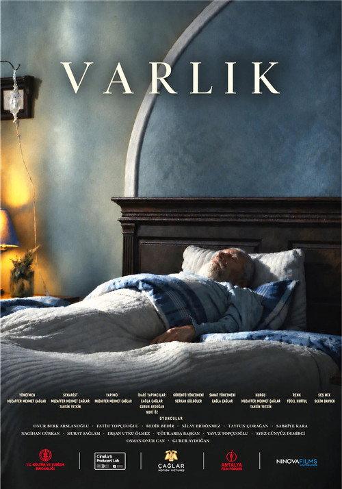 The Wealth 2026 official movie poster