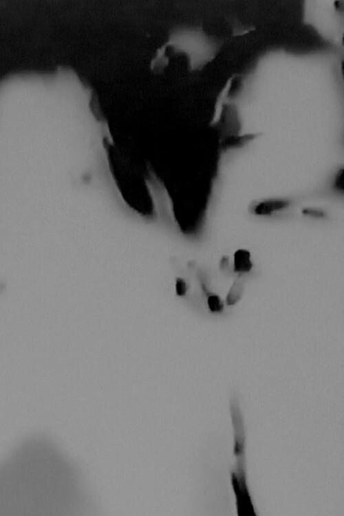 Witches Walk Monochrome 2016 official movie poster