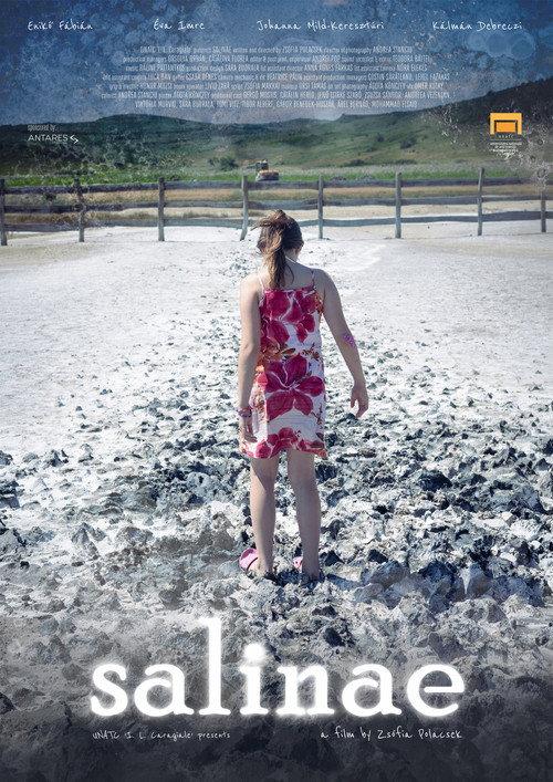 salinae  official movie poster