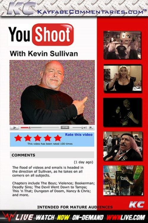 YouShoot: Kevin Sullivan  official movie poster