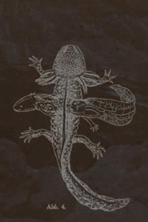 The Axolotl Stories-encounter 2025 official movie poster