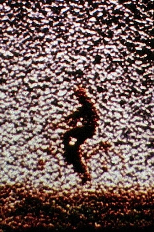 Remains to Be Seen 1989 official movie poster