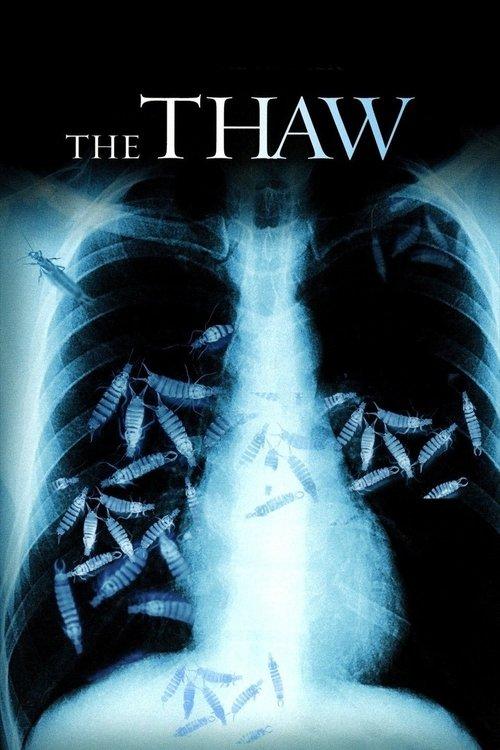 The Thaw 2009 official movie poster