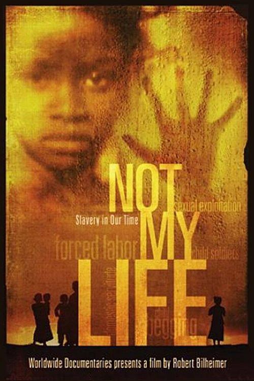 Not My Life 2011 official movie poster